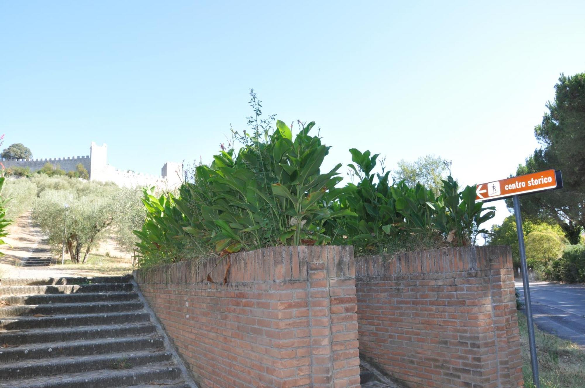 Residence Al Lago Castiglione del Lago Kültér fotó